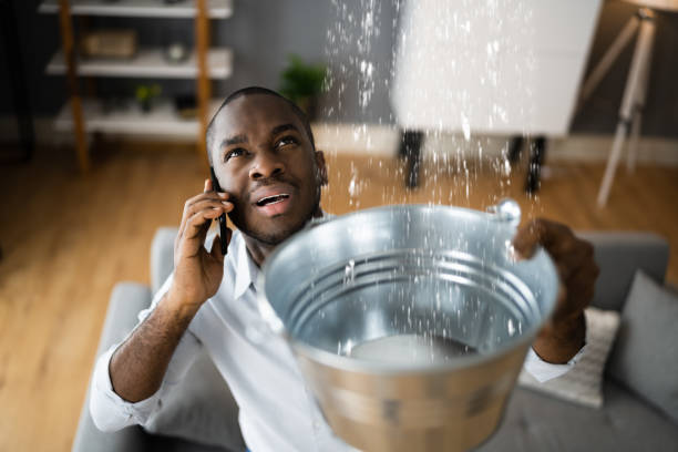 Best Professional water damage repair  in King, WI