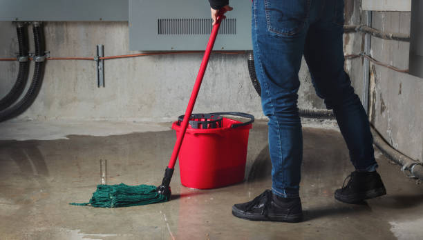 Best Basement water damage restoration  in King, WI