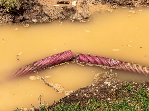 Best Emergency water damage restoration  in King, WI